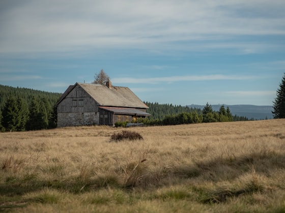 The Hayloft