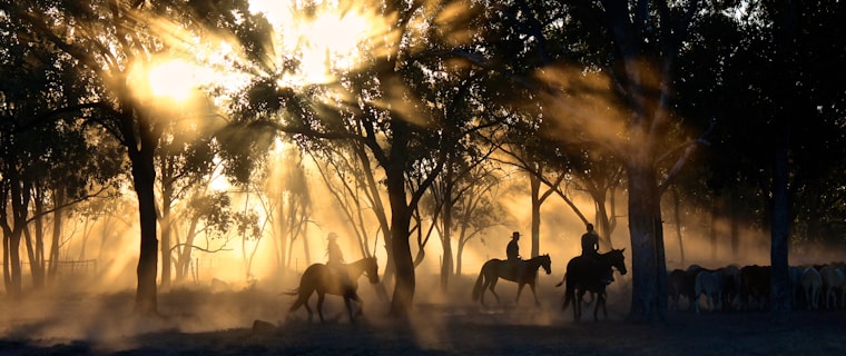 Sunset trail ride